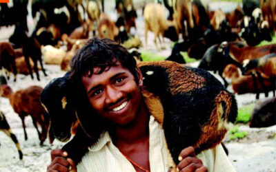 Livestock for sustainable livelihoods – March 2010 – Issue 12.1