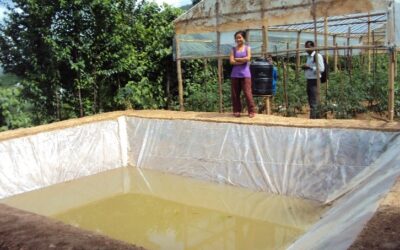 Improving water use practices for livelihood improvements