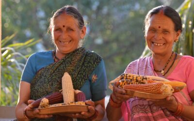 From farm to plate: An initiative of Sahaja Organics