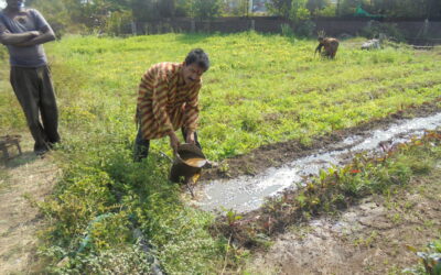 Revival of soil fertility in Vidarbha region