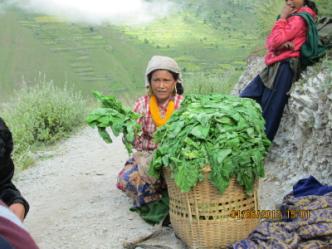Beating malnutrition through vegetable production