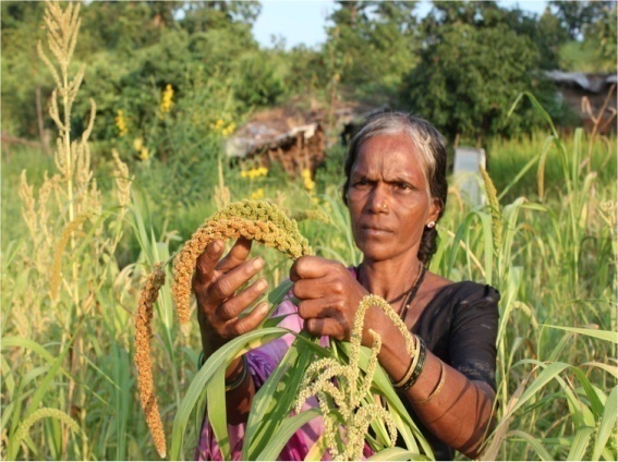 Seed sovereignty for food security and livelihood improvement