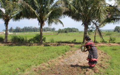 Sustainable and resilient farming-Women Collective’s efforts