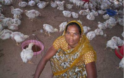 From poverty towards hope: Case of successful poultry enterprise by women