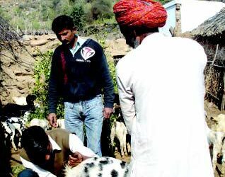 Eco-friendly goat husbandry for sustainable livelihood of small farmers