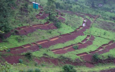 Oases of productivity – A case of Small scale watershed development