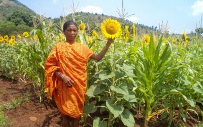 A self reliance path towards food sovereignty
