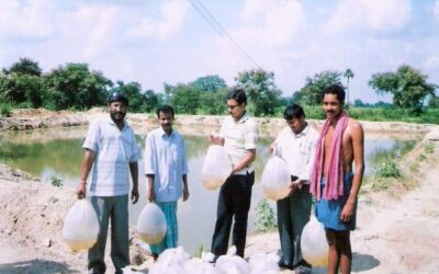 Small scale aquaculture – Boosting rural livelihoods
