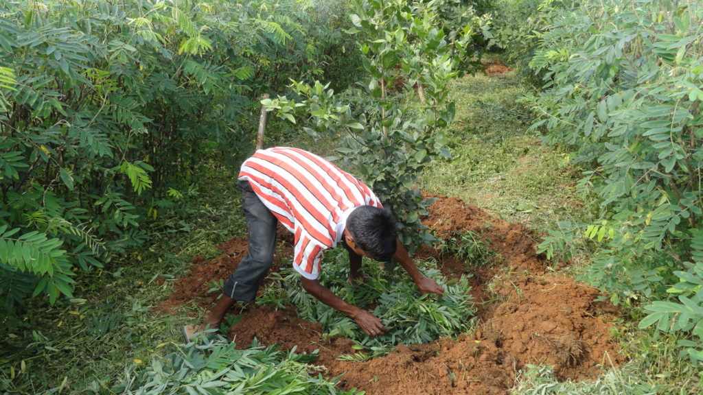 Bhoomi Sudha – Recycling biomass for enhanced soil fertility