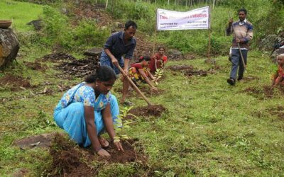 Growing trees, strengthening livelihoods, protecting environment