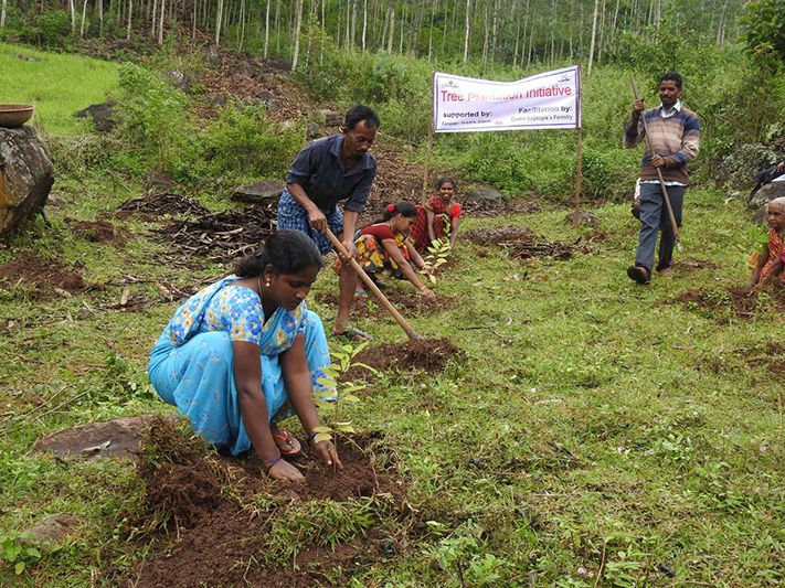 Growing trees, strengthening livelihoods, protecting environment