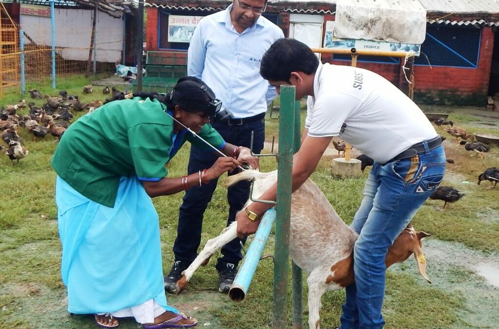 Pashu Sakhi – An alternative livestock extension approach