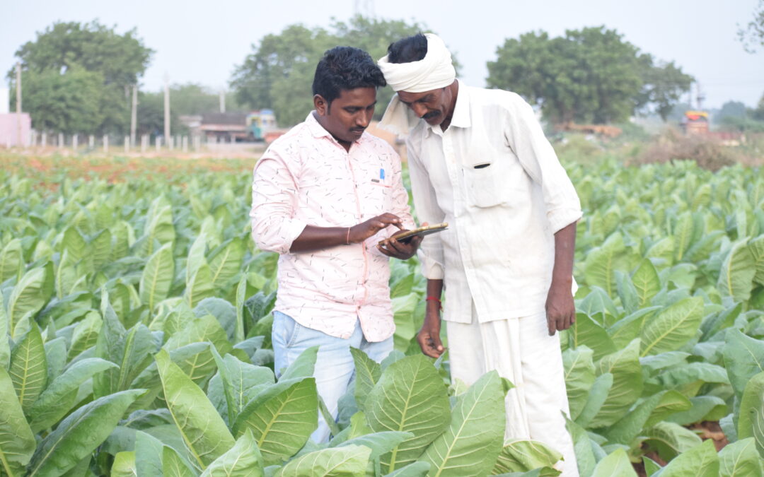 Enabling digital transformation in agriculture