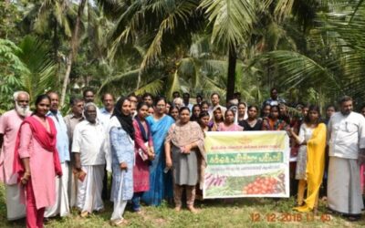Bio management of coconut pests – Social process for mass adoption