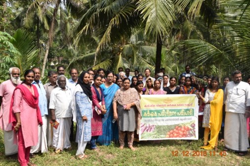 Bio management of coconut pests – Social process for mass adoption