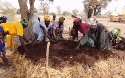 Women organising agroecology for resilience in the Sahel