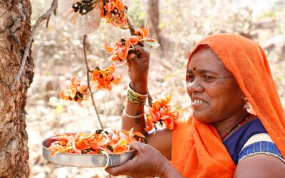 Secondary Agriculture – Empowering tribals of Central India