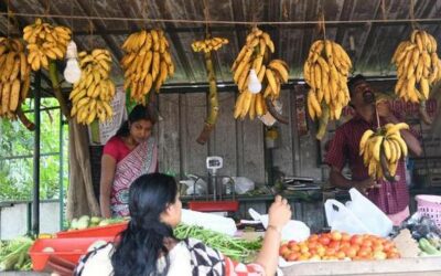 Kanjikuzhi – Kerala’s first chemical-free, vegetable-sufficient panchayat