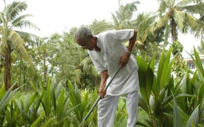 Bhaskar Save – The Gandhi of Natural Farming