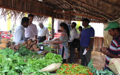Healthy Horticulture for Wealthy Life – A Sri Lankan Scenario