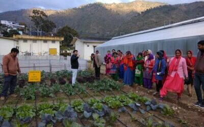 Nutri – gardens: A rich source of nutrition for farm women