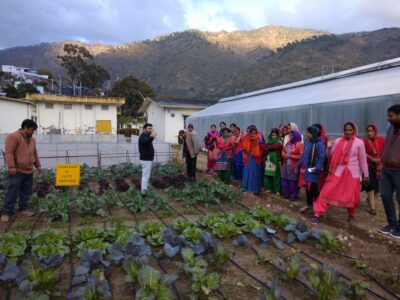 Nutri – gardens: A rich source of nutrition for farm women