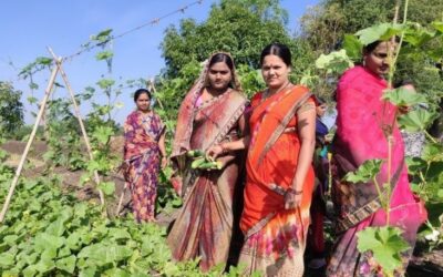 De-risking agriculture – Women-led climate resilient farming model