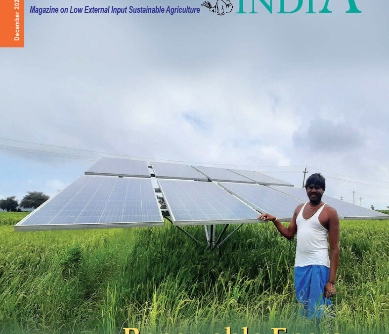 Renewable Energy in Agriculture – December 2022 – Issue 24.4