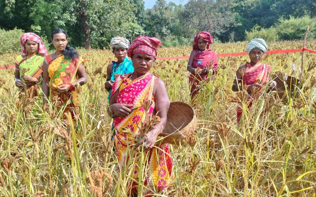Women-led institutions reviving millet cropping systems in Odisha