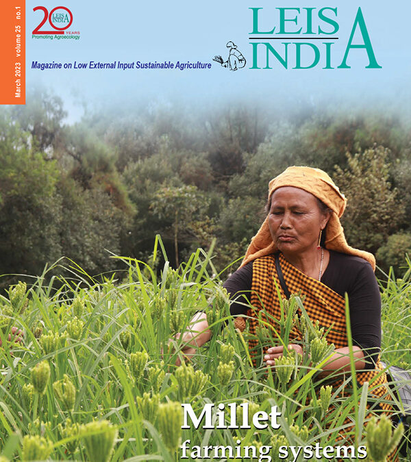 Millet farming systems – March 2023 – Issue 25.1