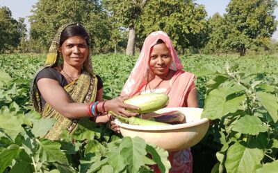 Women led Farmer Field Schools