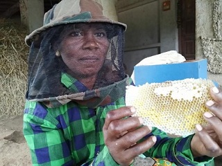 Buzzing like bees: Women smallholders in beekeeping