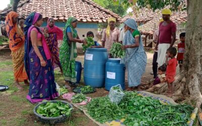 Nurturing climate resilience in agriculture by women farmers