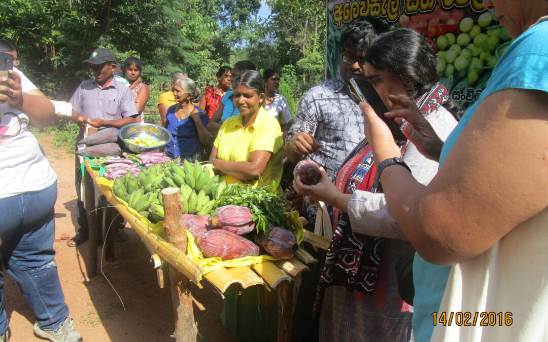 Rural women as enterpreneurs – Restoring food systems and creating markets
