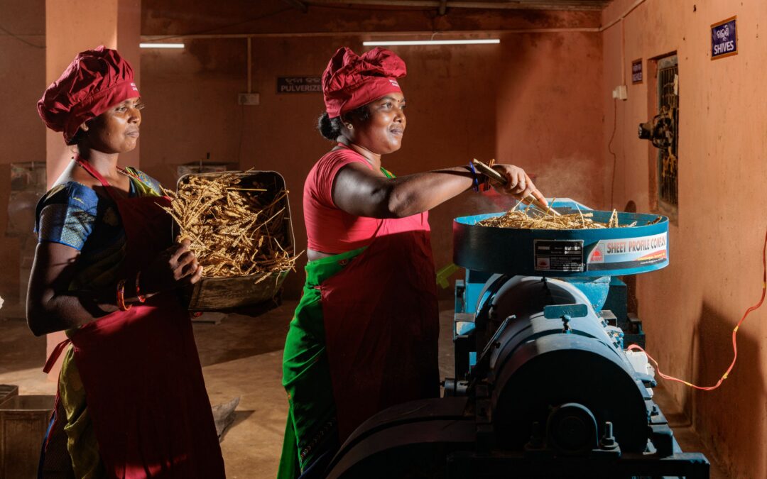 Women-led farm enterprises: Unleashing the potential of humble millets
